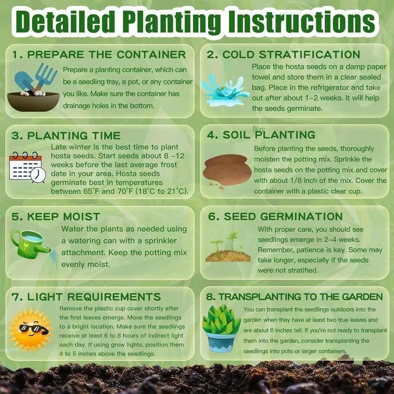 💥Last Day 50% OFF💥2025 Hot Sale 🌌Hosta Seeds Perennial Shade Plant for Garden