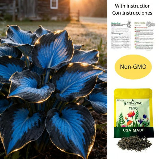 💥Last Day 50% OFF💥2025 Hot Sale 🌌Hosta Seeds Perennial Shade Plant for Garden